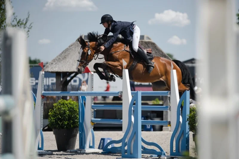 Ruiter en paard in actie