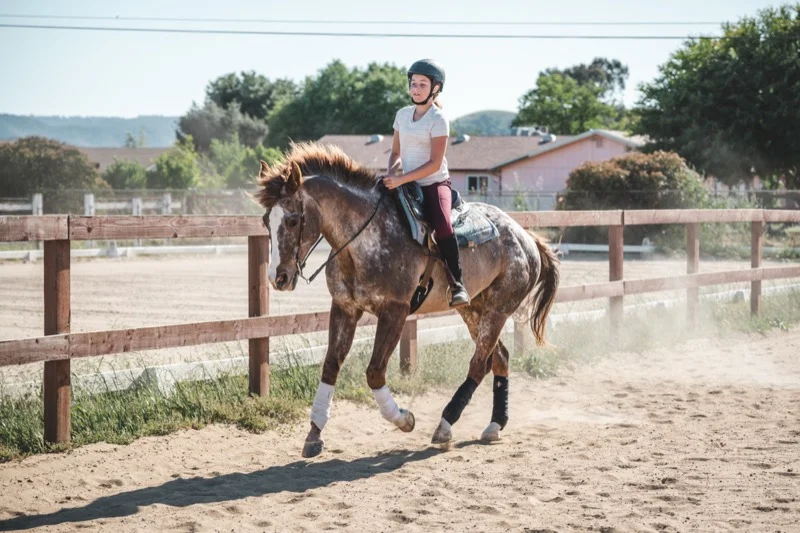 Ruiter en paard in beweging